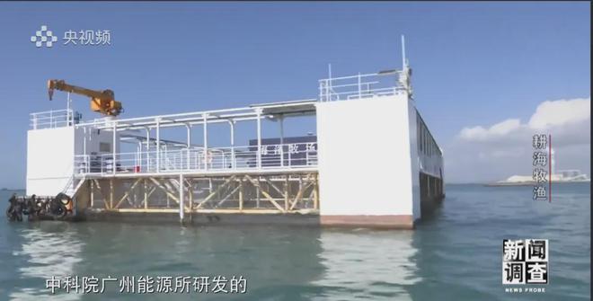 央視《新聞調查》重磅聚焦，湛江水產養殖“游”向深遠海