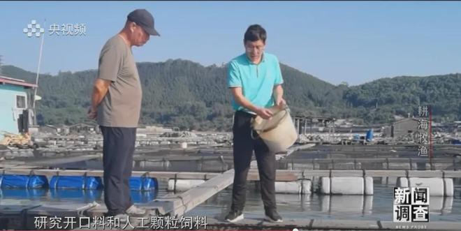 央視《新聞調查》重磅聚焦，湛江水產養殖“游”向深遠海